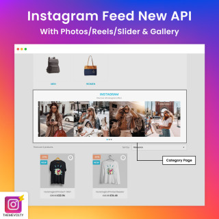 Instagram - Feed New API with Photos Reels Slider - Gallery