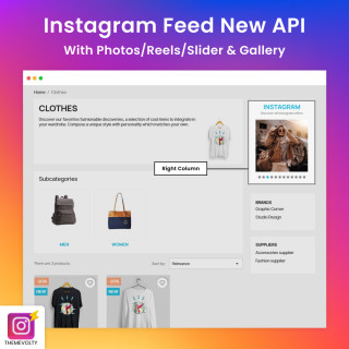 Instagram - Feed New API with Photos Reels Slider - Gallery
